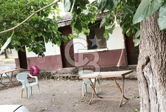 BURSA BÜYÜKORHAN DÜĞÜNCÜLERDE SICAK SU KAYNAKLI KAPLICA - 1 - 314347