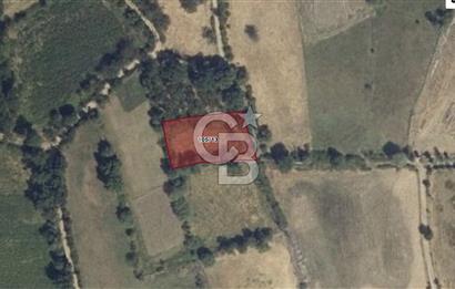 MERKEZ KURTGÖMEÇ KÖYÜNDE 1.087 M2 VERİMLİ TARLA - YATIRIMLIK