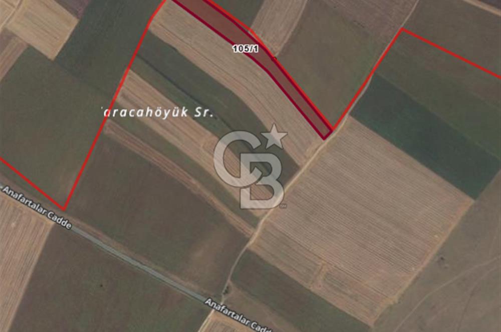 Tekirdağ Saray Sofular Köyünde 298 m² Yatırımlık Satılık Tarla