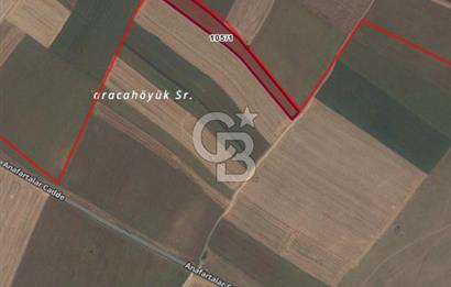 Tekirdağ Saray Sofular Köyünde 298 m² Yatırımlık Satılık Tarla