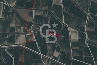 Sarayköy Sığma Mahallesi'nde 7.046 M² Satılık Tarla - 1 - 314329