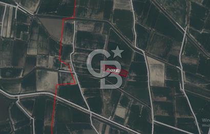 Sarayköy Sığma Mahallesi'nde 7.046 M² Satılık Tarla