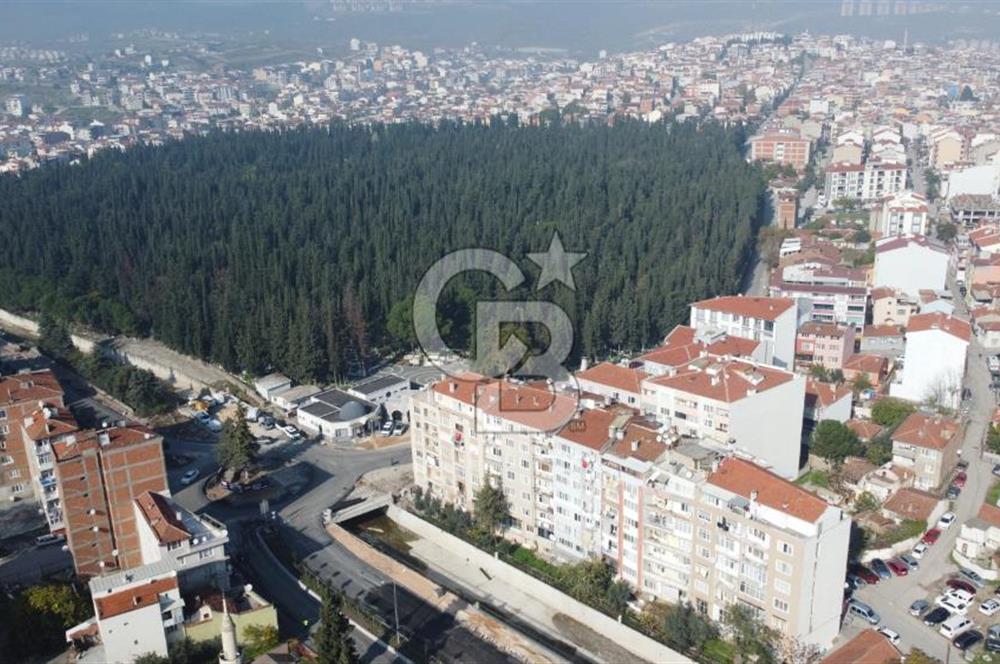 CB KİNG'DEN BALIKESİR ÇAY MAHALLESİ ARA KAT 3+1 SATILIK DAİRE