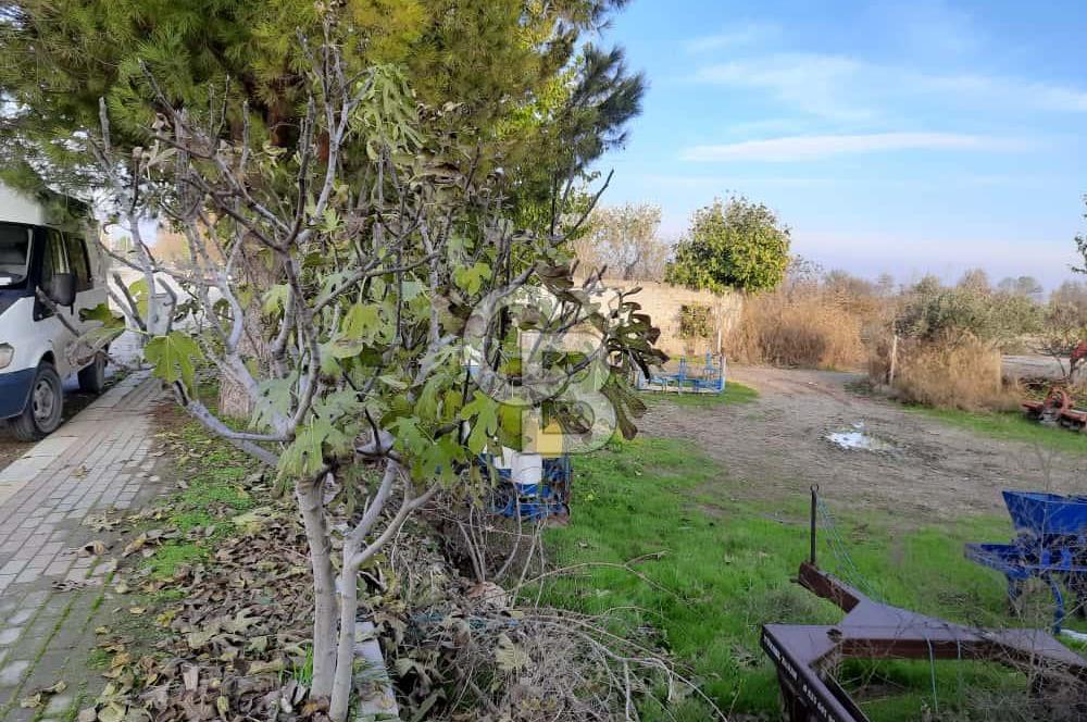 Sarayköy Sığma Mahallesi'nde 513M² Satılık Bahçe 