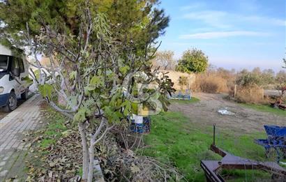 Sarayköy Sığma Mahallesi'nde 513M² Satılık Bahçe 