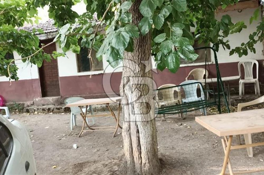 BURSA BÜYÜKORHAN DÜĞÜNCÜLERDE SICAK SU KAYNAKLI KAPLICA