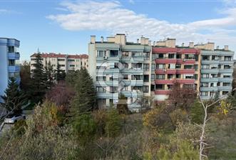 SÖĞÜTÖZÜ ANADOLU SİTESİ AİLE MAHKEMESİ YANI EŞYALI 2+1 KİRALIK - 2 - 314357