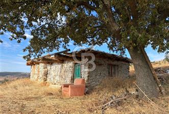 Satılık Verimli Yüksek Rekolteli Zeytinlik - 4 - 314380