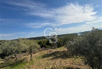 Torbalı Yazıbaşı Çamaltı'nda Yerleşim Yerine Yakın, Yolu Olan MÜSTAKİL Tarla - 1 - 314378