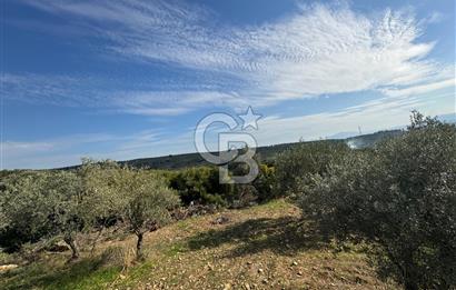 Torbalı Yazıbaşı Çamaltı'nda Yerleşim Yerine Yakın, Yolu Olan MÜSTAKİL Tarla