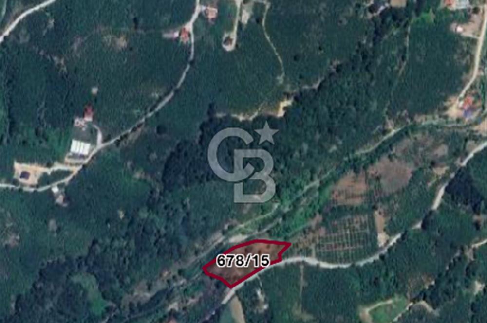 Sakarya Karapürçek Uludere de 5159 m2 SATILIK TARLA