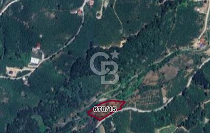 Sakarya Karapürçek Uludere de 5159 m2 SATILIK TARLA