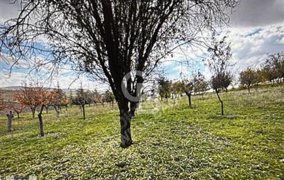 KAZAN AHİ'DE SATILIK TARLA