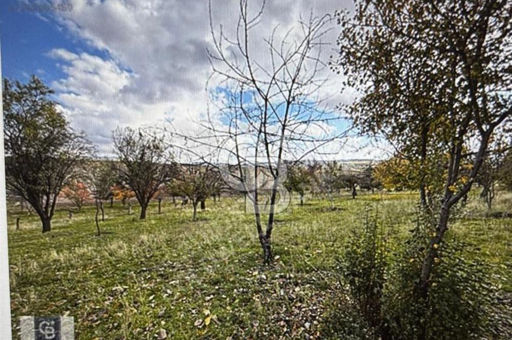 KAZAN AHİ'DE SATILIK TARLA