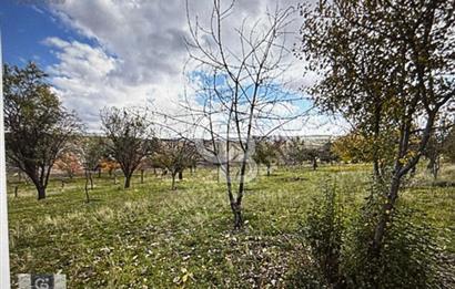 KAZAN AHİ'DE SATILIK TARLA