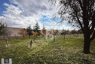 KAZAN AHİ'DE SATILIK TARLA - 7 - 314362