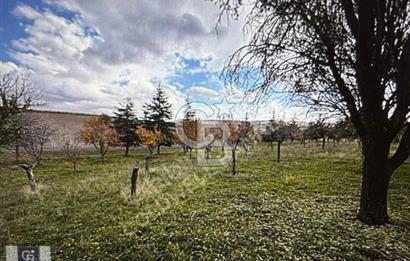 KAZAN AHİ'DE SATILIK TARLA