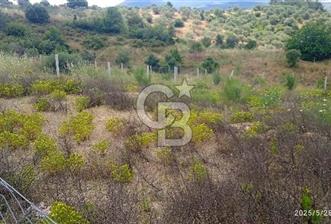 İZMİR KEMALPASA CUMALİ SATILIK TARLA 1573 M2 - 4 - 290786