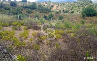 İZMİR KEMALPASA CUMALİ SATILIK TARLA 1573 M2