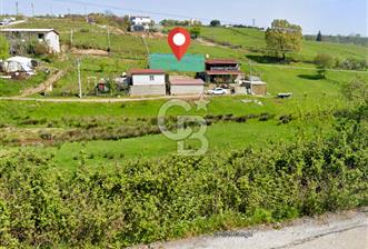 YALOVA ÇINARCIK DOĞA MANZARALI SATILIK KONUT İMARLI ARSA!330 m2! - 5 - 314406