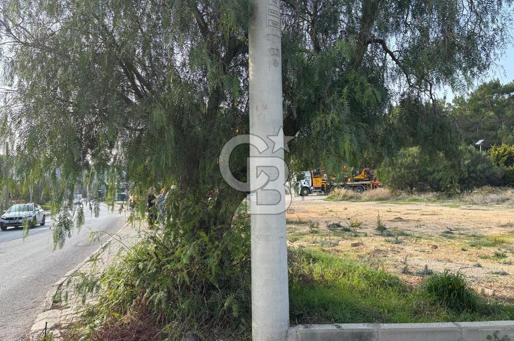 Çeşme İnönü Mahallesinde  Köşe Konumda Üç Yola Cepheli İfraz Edilebilir Satılık İmarlı Arsa