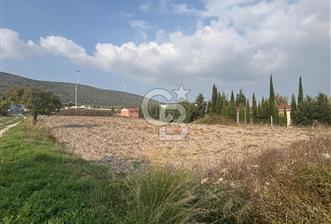 Çeşme Alaçatı’da Yatırım Değeri Yüksek Ana Yola Cepheli Satılık Tarla - 5 - 314388