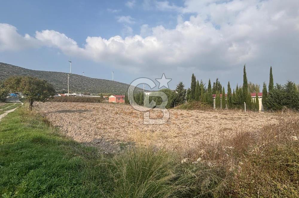 Çeşme Alaçatı’da Yatırım Değeri Yüksek Ana Yola Cepheli Satılık Tarla