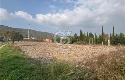 Çeşme Alaçatı’da Yatırım Değeri Yüksek Ana Yola Cepheli Satılık Tarla