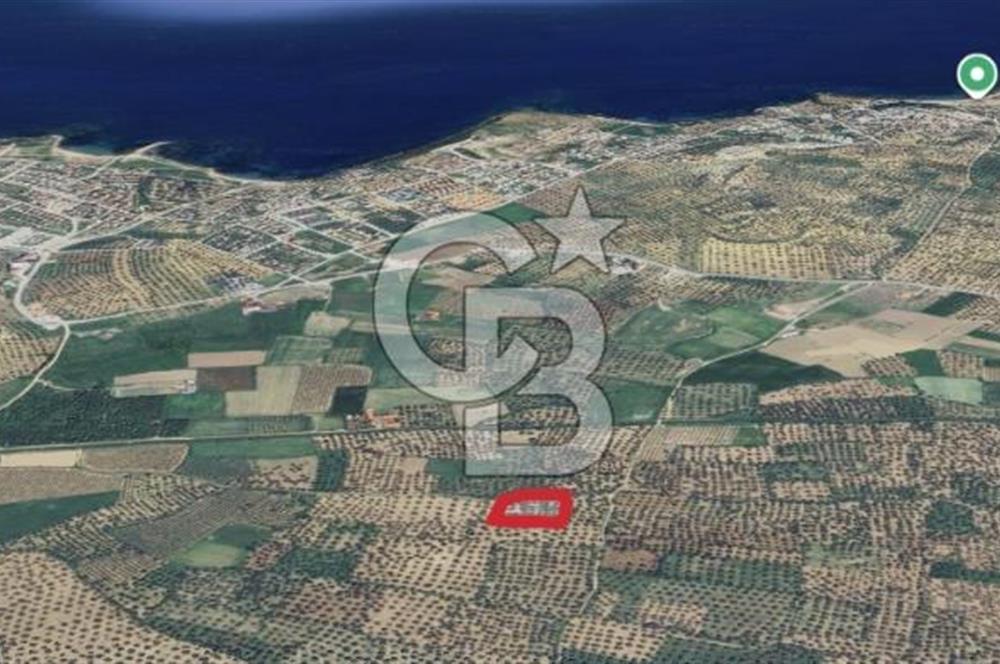 Gömeç karaağaç mahallesi 5600 m2 