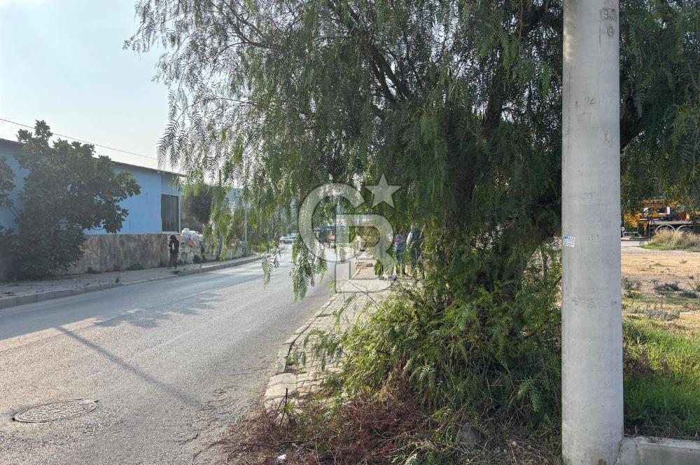 Çeşme İnönü Mahallesinde  Köşe Konumda Üç Yola Cepheli İfraz Edilebilir Satılık İmarlı Arsa