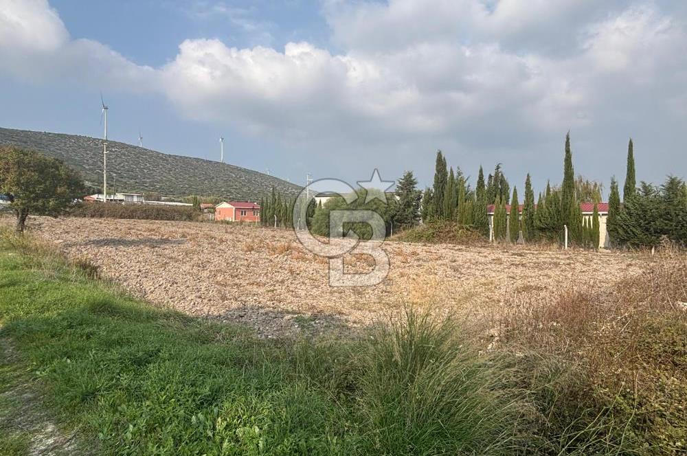 Çeşme Alaçatı’da Yatırım Değeri Yüksek Ana Yola Cepheli Satılık Tarla