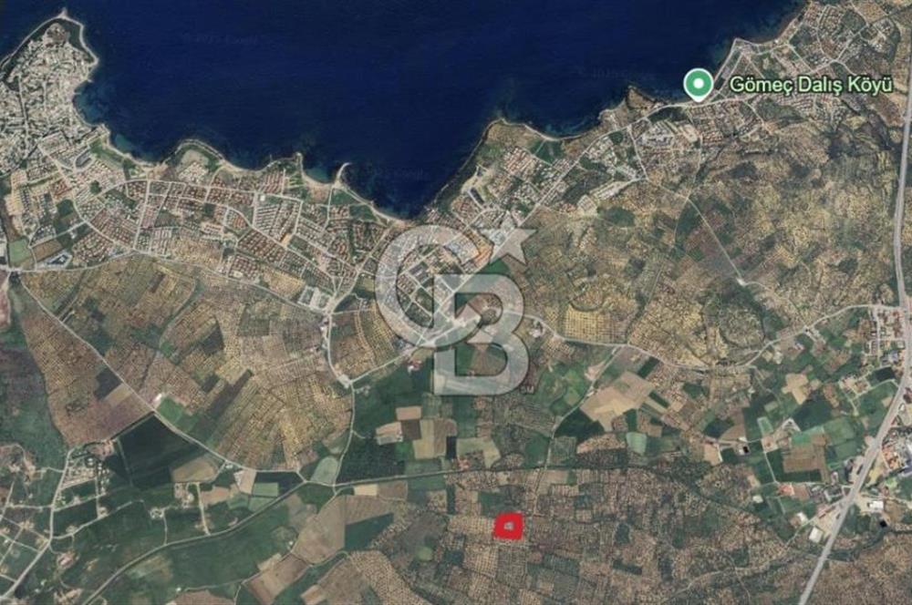 Gömeç karaağaç mahallesi 5600 m2 