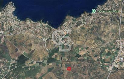 Gömeç karaağaç mahallesi 5600 m2 