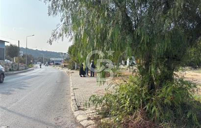 Çeşme İnönü Mahallesinde  Köşe Konumda Üç Yola Cepheli İfraz Edilebilir Satılık İmarlı Arsa