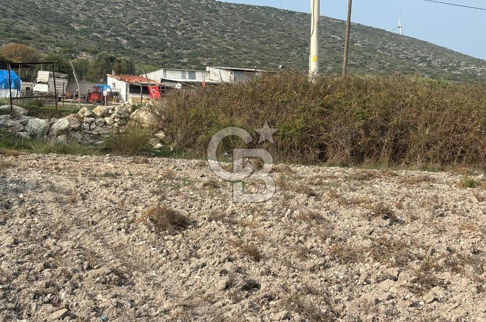 Çeşme Alaçatı’da Yatırım Değeri Yüksek Ana Yola Cepheli Satılık Tarla