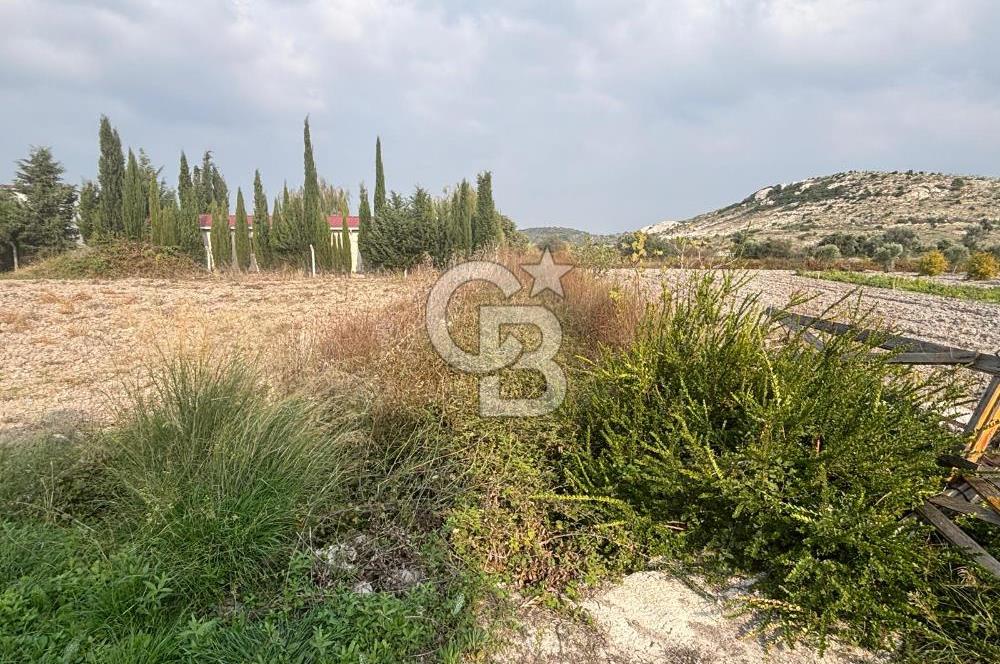 Çeşme Alaçatı’da Yatırım Değeri Yüksek Ana Yola Cepheli Satılık Tarla