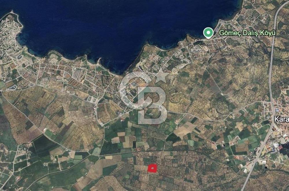 Gömeç karaağaç mahallesi 5600 m2 