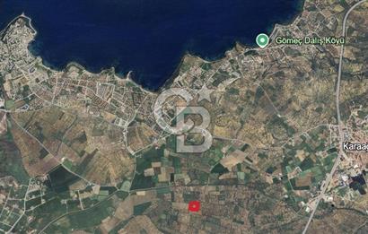 Gömeç karaağaç mahallesi 5600 m2 