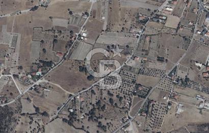 Urla Barbaros Köyünde Satılık Müstakil Tapulu Arazi