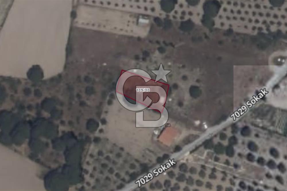 Urla Barbaros Köyünde Satılık Müstakil Tapulu Arazi