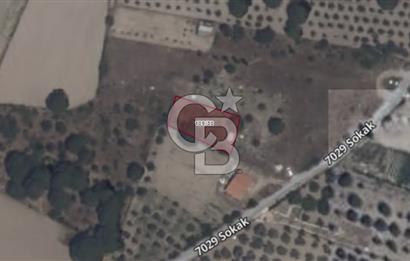 Urla Barbaros Köyünde Satılık Müstakil Tapulu Arazi