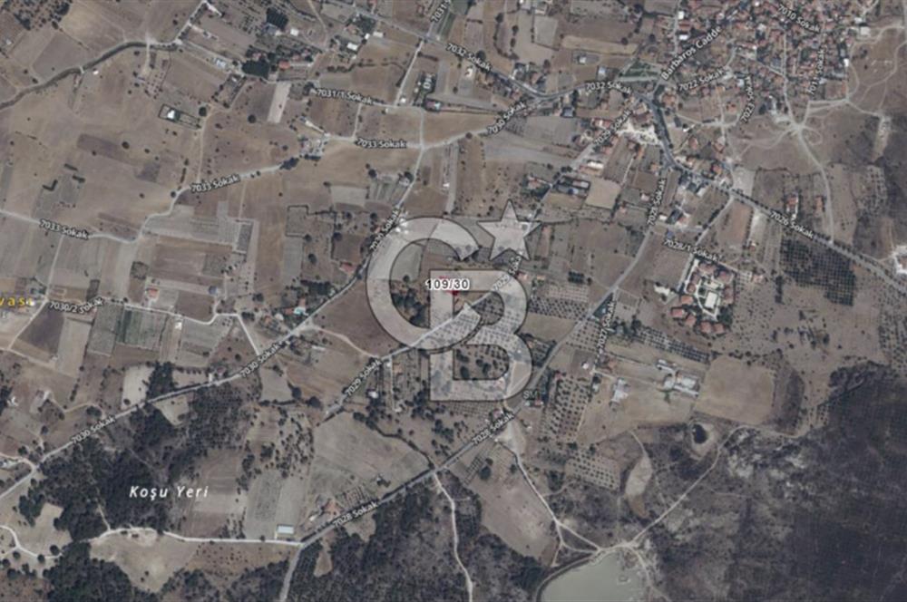 Urla Barbaros Köyünde Satılık Müstakil Tapulu Arazi