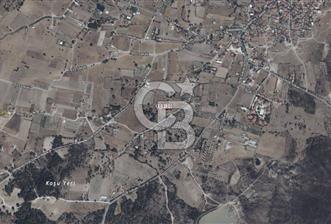 Urla Barbaros Köyünde Satılık Müstakil Tapulu Arazi - 3 - 314426