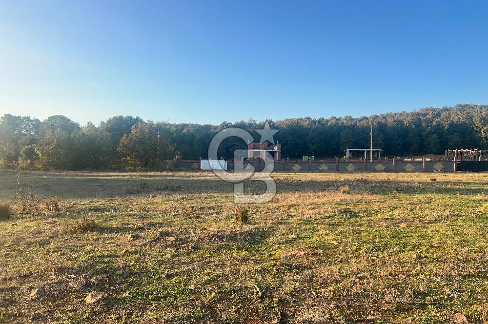 Gebze Cumaköyde Satılık Arsa