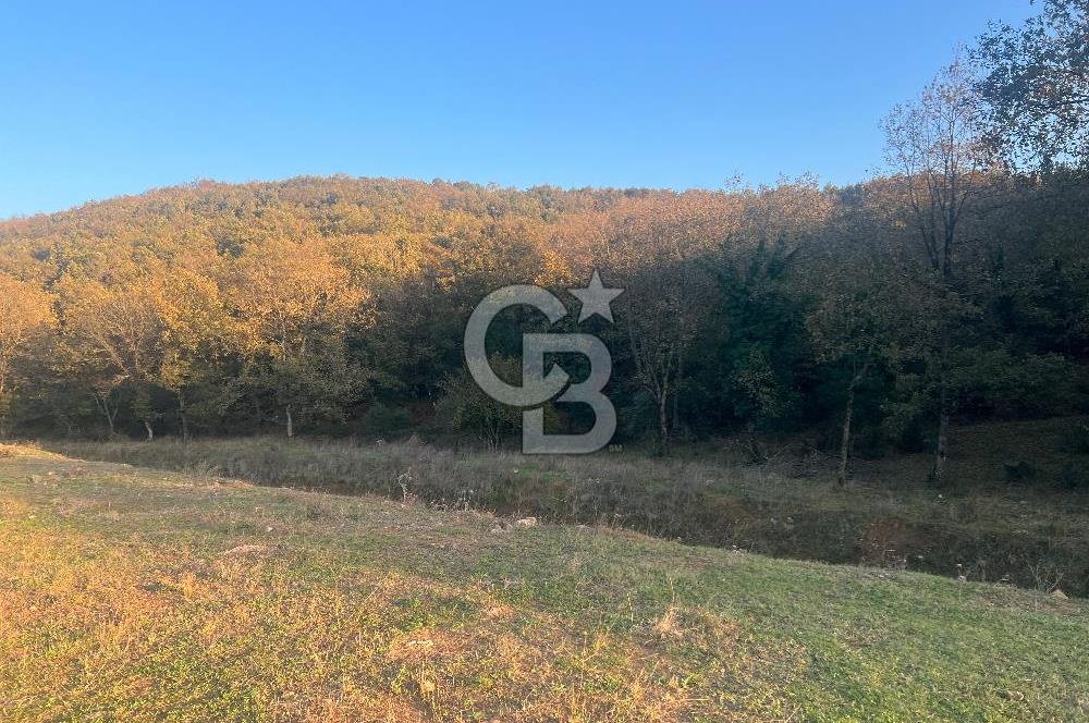 Gebze Cumaköyde Satılık Arsa