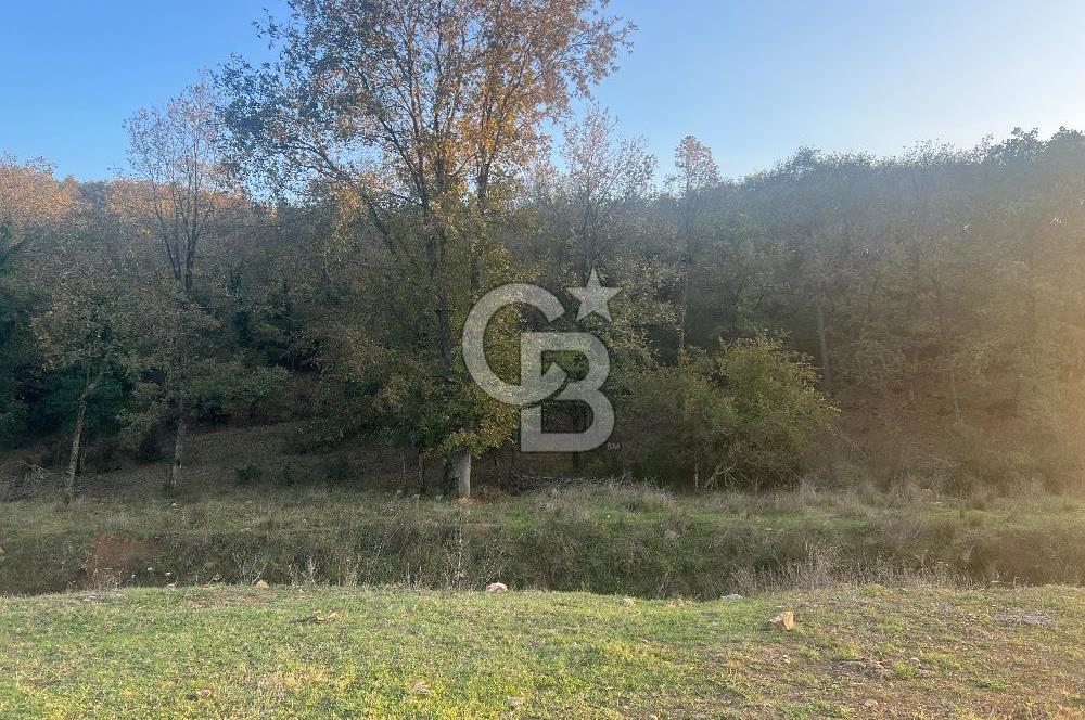 Gebze Cumaköyde Satılık Arsa