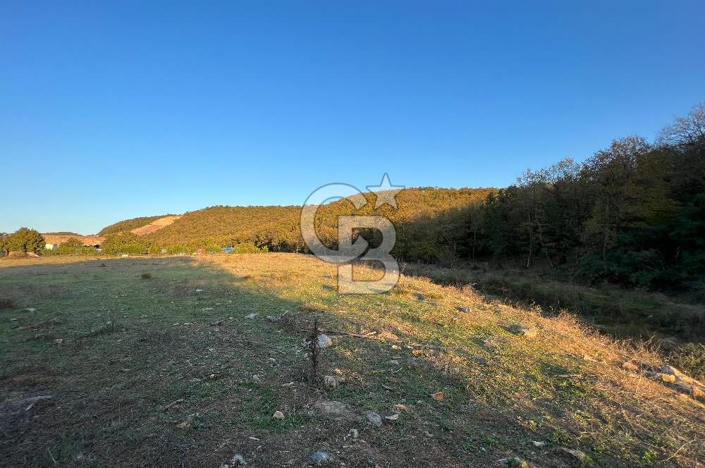 Gebze Cumaköyde Satılık Arsa
