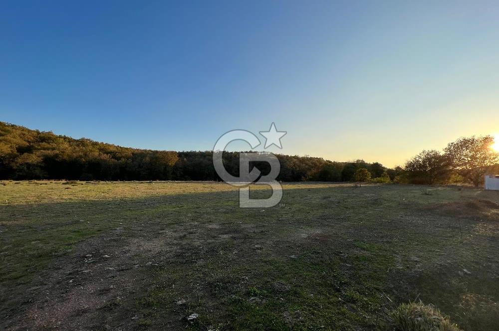 Gebze Cumaköyde Satılık Arsa