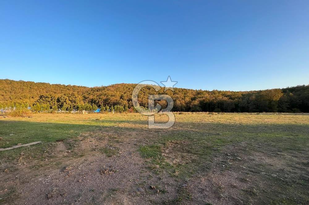 Gebze Cumaköyde Satılık Arsa