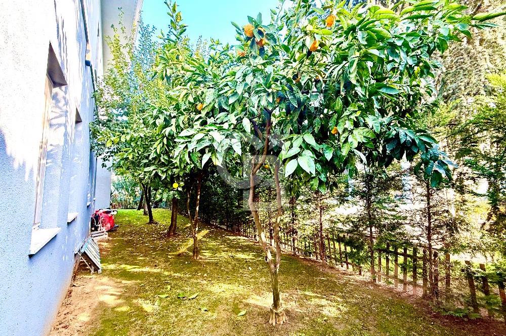 Ardıçlı Göl Evleri Kiralık 5+2 Dubleks Tadilatlı Villa